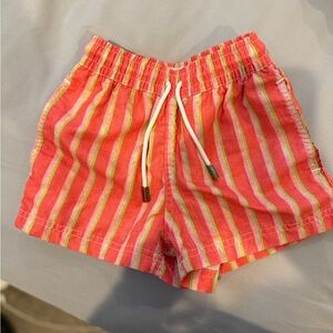 Vibrant Striped Kids Swim Trunks